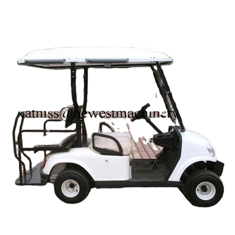 48v two seater mini cars for sale/battery power electric scooter/electric golf cart price