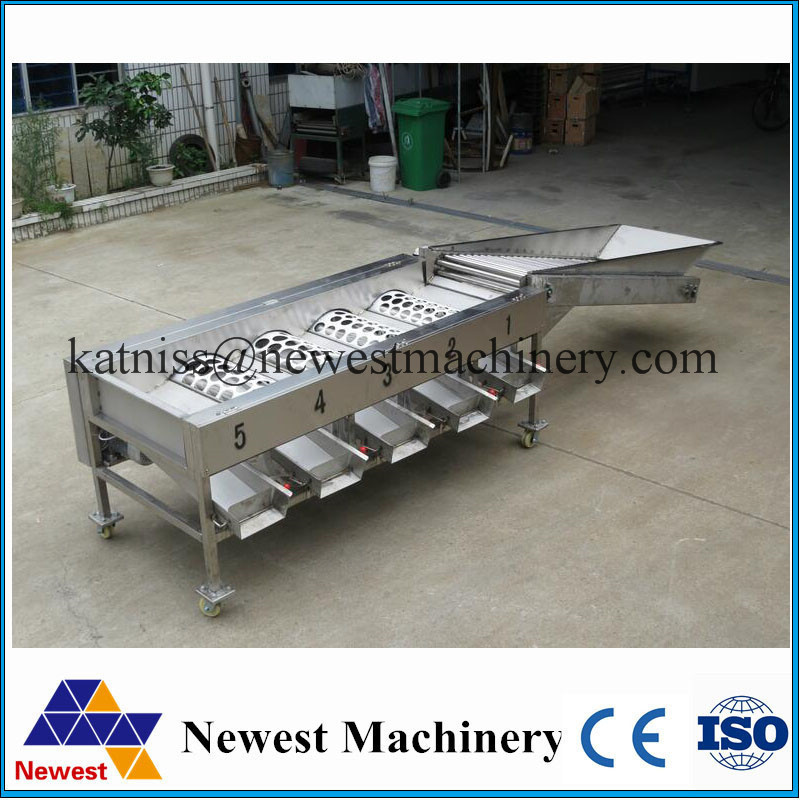 Apple sorting machine/Potato Washing and Grading Line grader orange