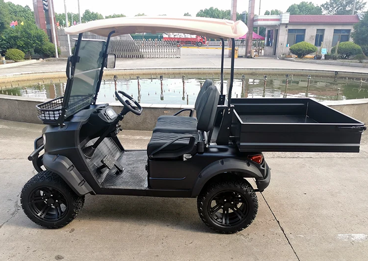 China manufacturer new energy golf cart standard good price club car sightseeing golf cart cargo