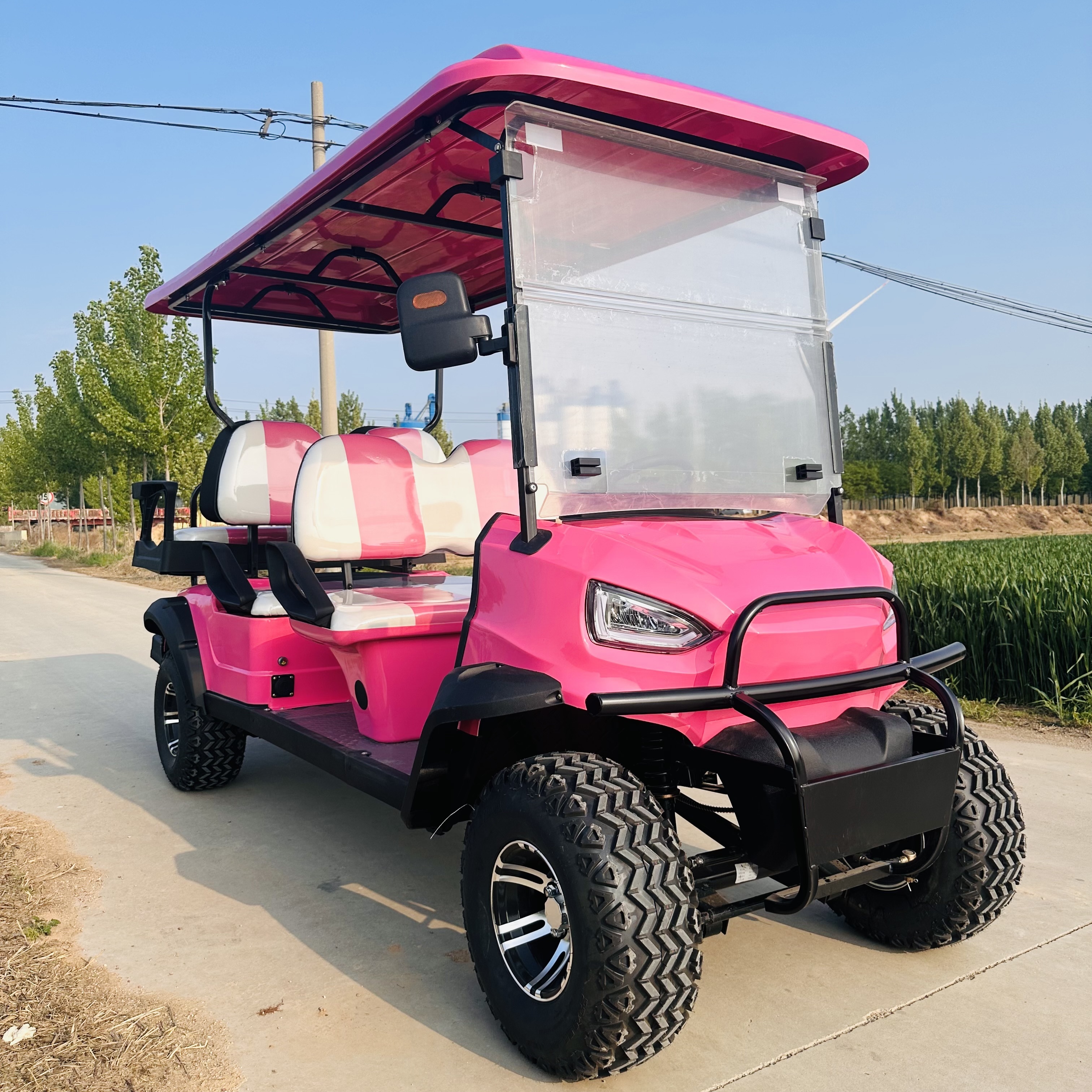 Small cheap electric 4+2 seater golf carts with pink color