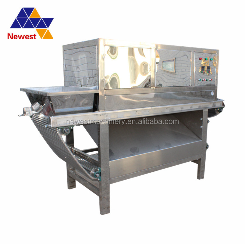 Garlic peeling machine/ garlic peeler/ automatic garlic processing line