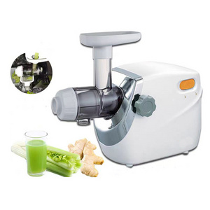 Kitchen wheatgrass juicer Latest vegetable juicer Commercial juicer