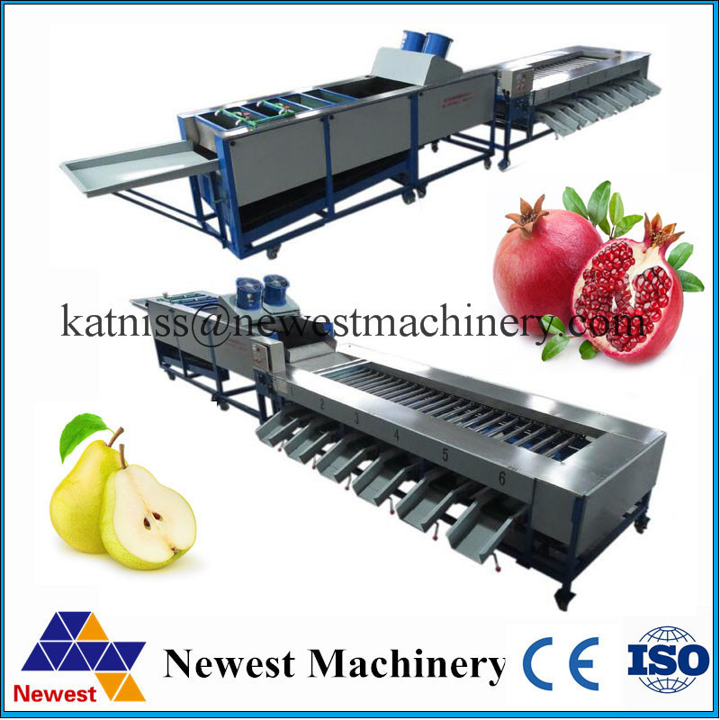 Apple sorting machine/Potato Washing and Grading Line grader orange