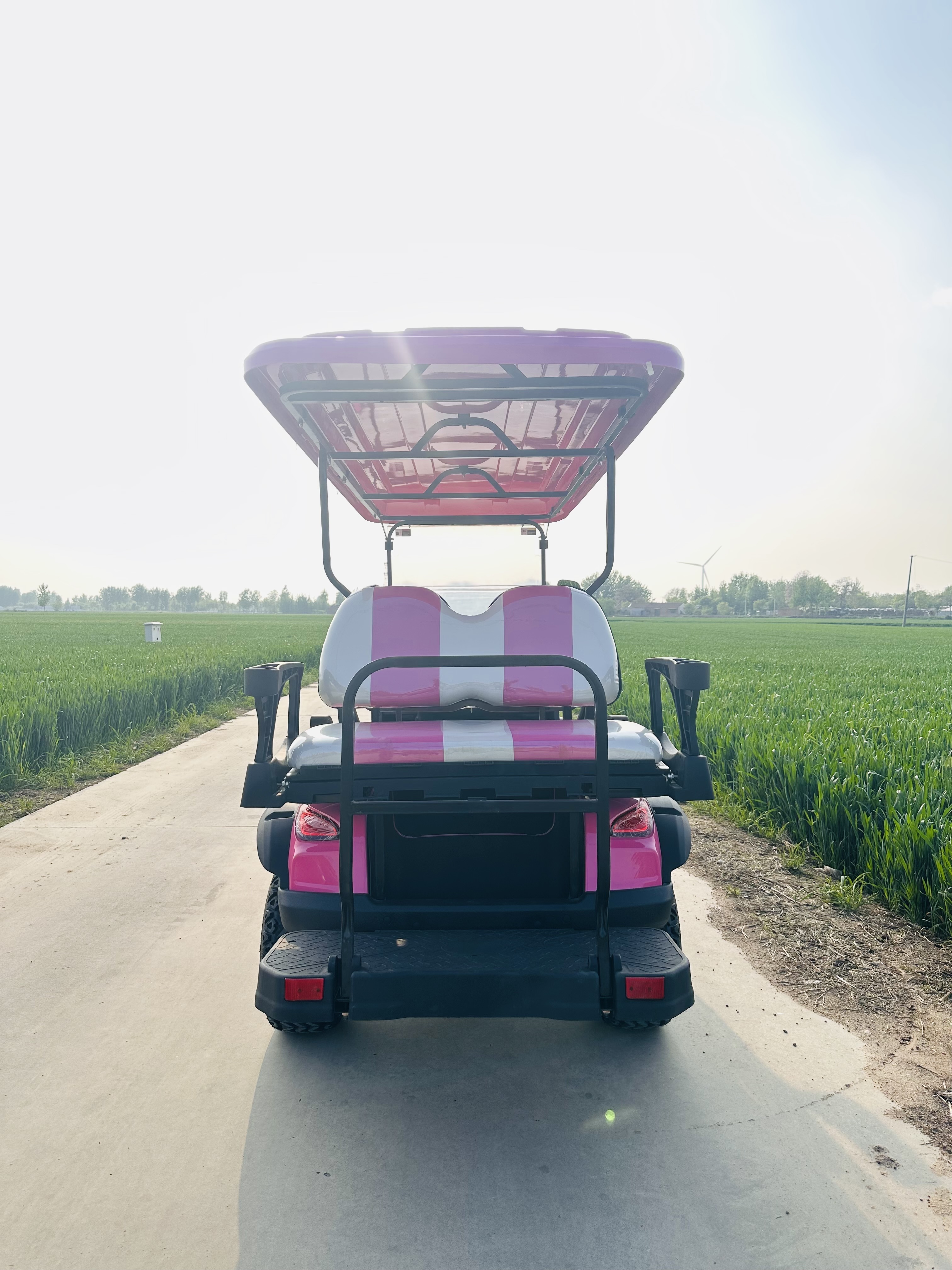 Small cheap electric 4+2 seater golf carts with pink color