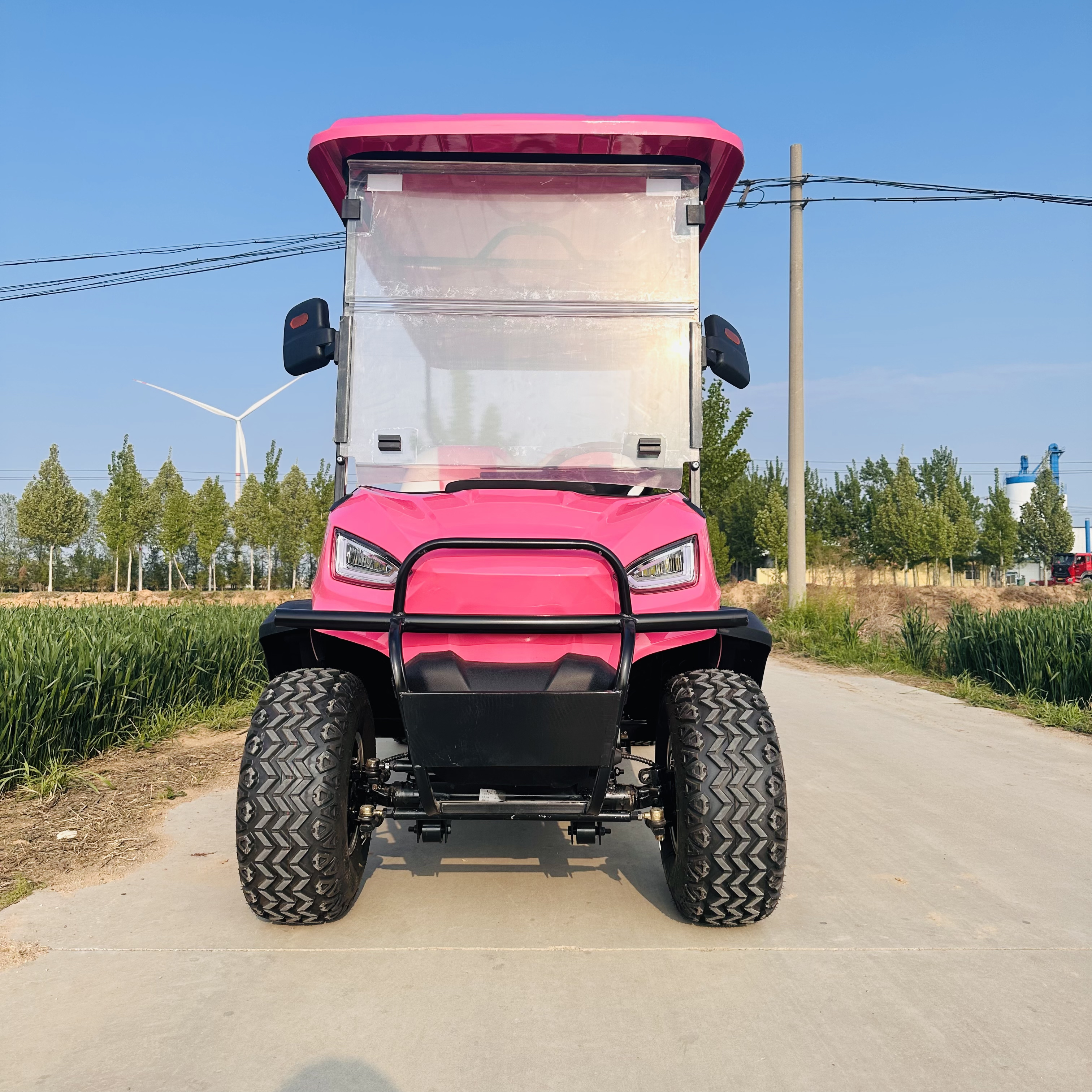 Small cheap electric 4+2 seater golf carts with pink color