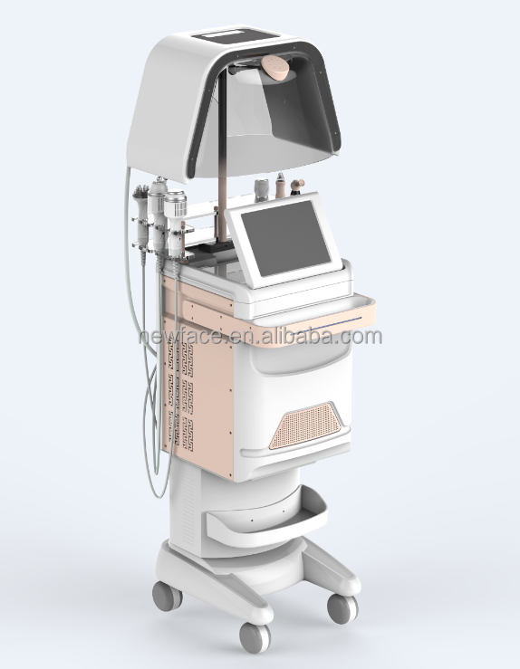 NV-W10 new generation 10 in 1 Skin management system multi function beauty salon equipment