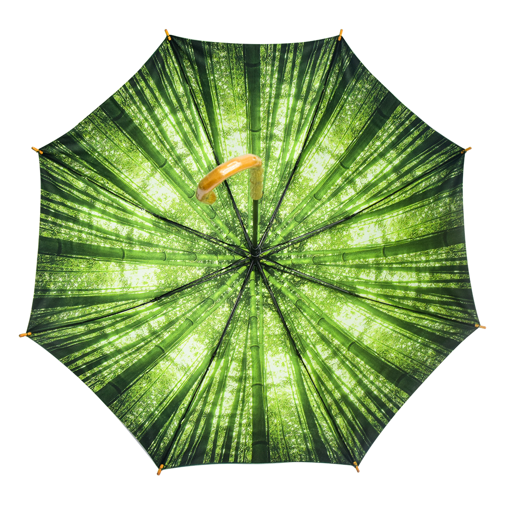 Best Price Bamboo Umbrella Handle Eco Friendly Recycled PET panels 24 inch Auto Open Stick Straight Umbrella