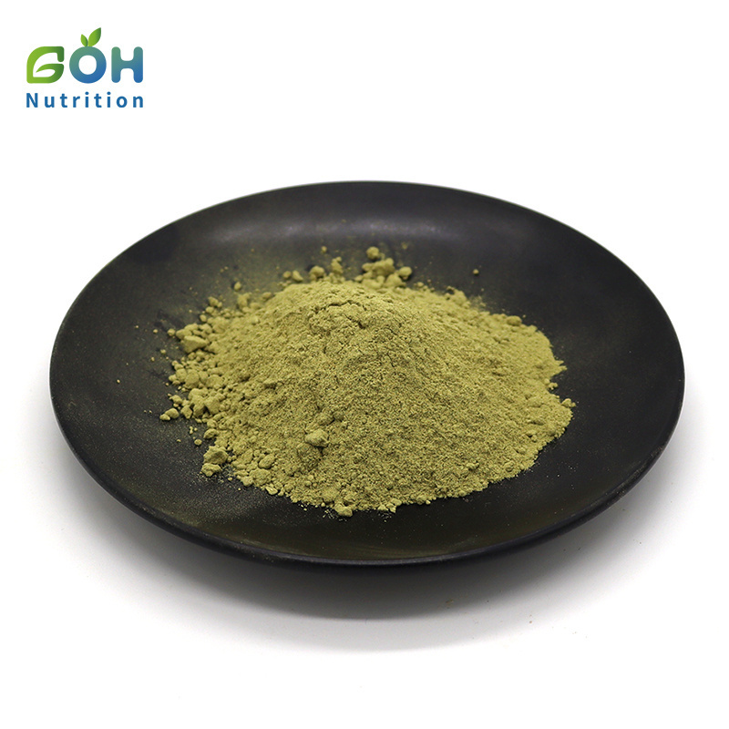 GOH Supply Top Quality 10:1 Moringa Leaf Extract Horseradish Tree Leaf Powder