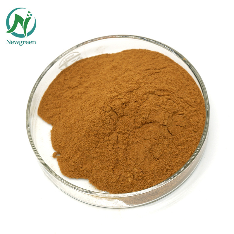 High Quality Health Product Natural Shiitake Mushroom Extract Lentinan Powder