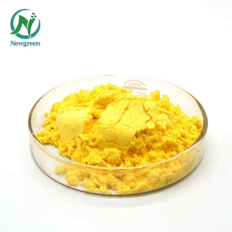 Newgreen Factory Supply Natural Sophora Japonica Extract 98% Quercetin