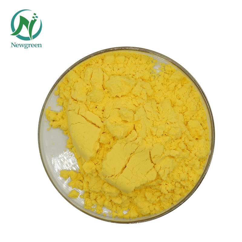 Newgreen Factory Supply Natural Sophora Japonica Extract 98% Quercetin