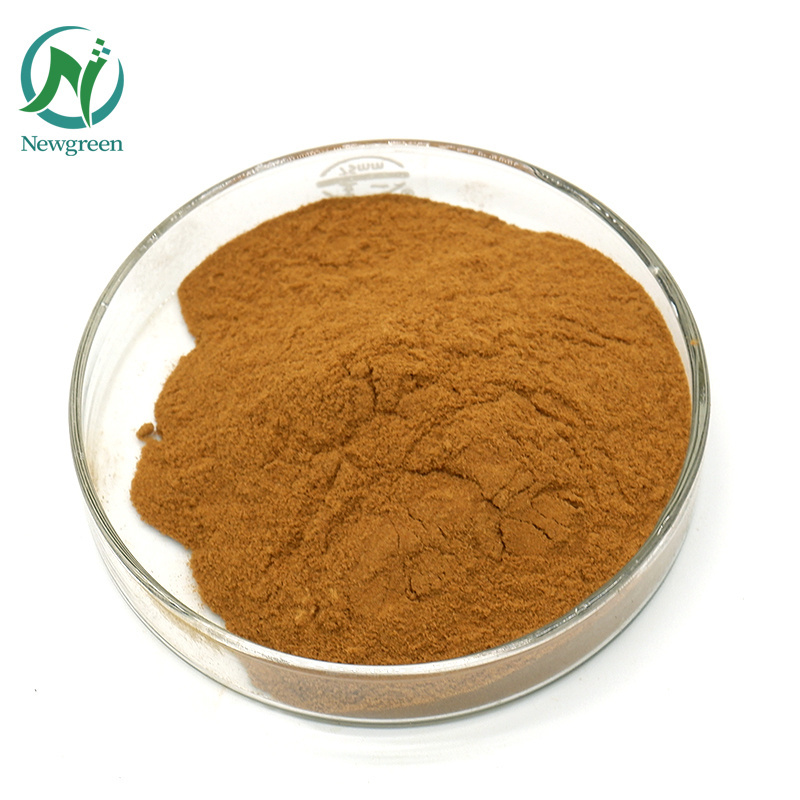 High Quality Health Product Natural Shiitake Mushroom Extract Lentinan Powder