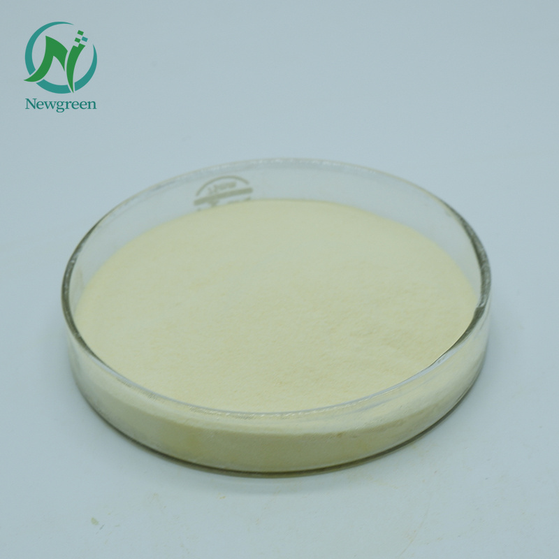 Newgreen Supply Popular Enzyme Preparations Food Grade Powder beta-Glucanase