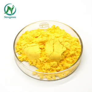 Newgreen Factory Supply Natural Sophora Japonica Extract 98% Quercetin