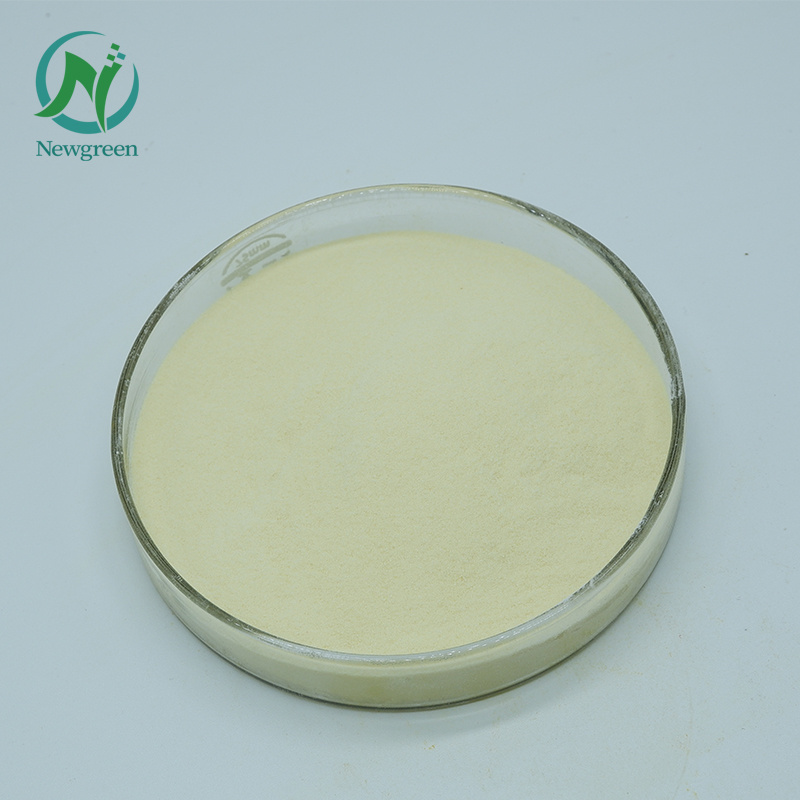 Newgreen Supply Popular Enzyme Preparations Food Grade Powder beta-Glucanase