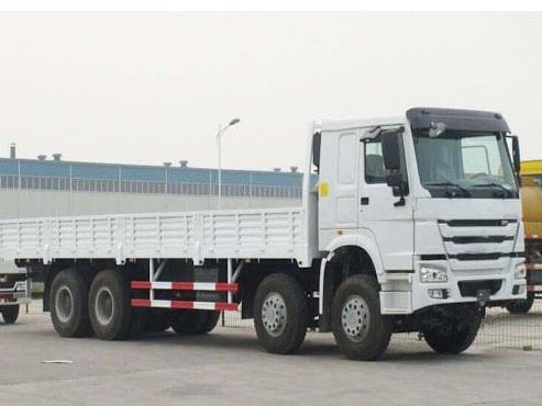 Hot Sale New 8*4 Cargo Logistic Transportation Truck with Factory Price