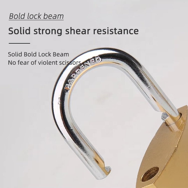 Padlocks and keys in bulk double waterproof ring iron lock safety padlock iron locker key 30mm padlock