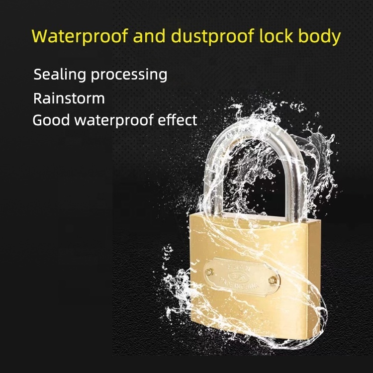 Padlocks and keys in bulk double waterproof ring iron lock safety padlock iron locker key 30mm padlock