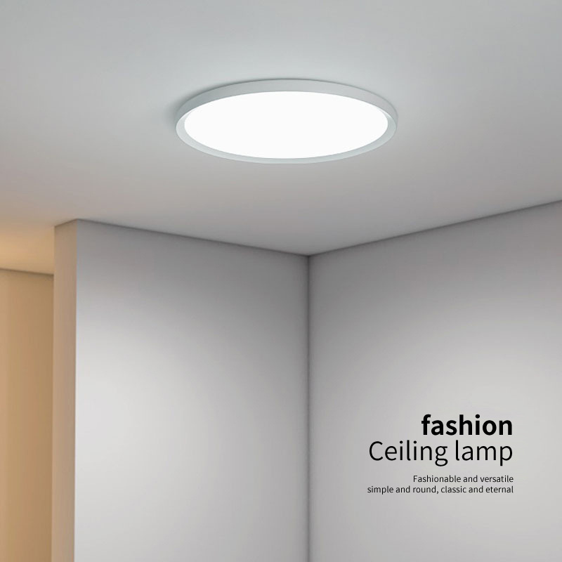 Ultra-thin 2.5 cm Ceiling Light Round Modern Simple Lamp for Living room Home Bedroom Office Led Light Ceiling