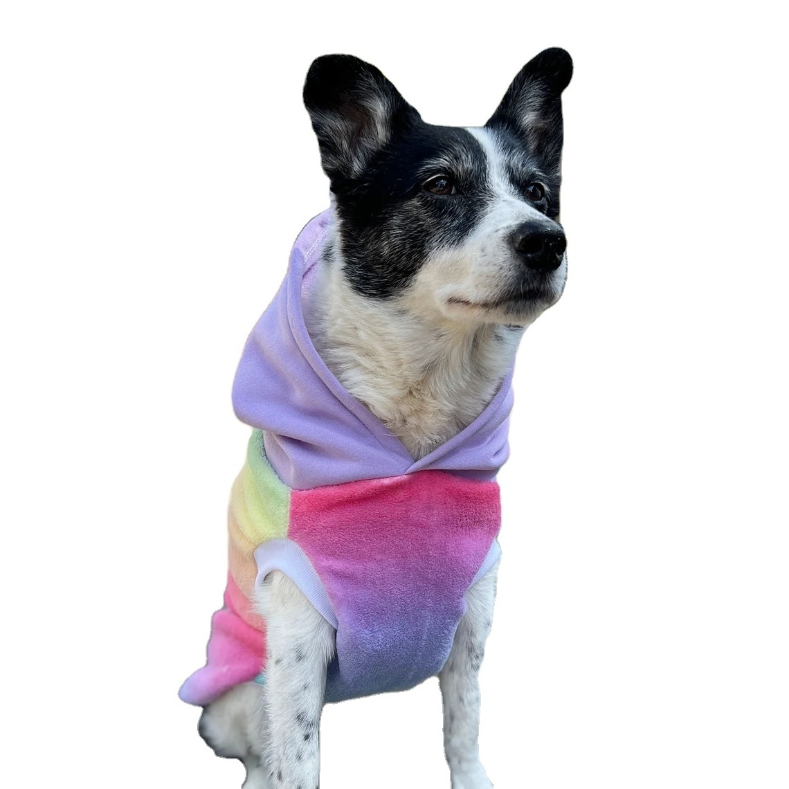 Dogs Hoodies Pastel Rainbow color Design Dog hoodie  Hoodies Manufacturer Wholesaler Very Cheap Price