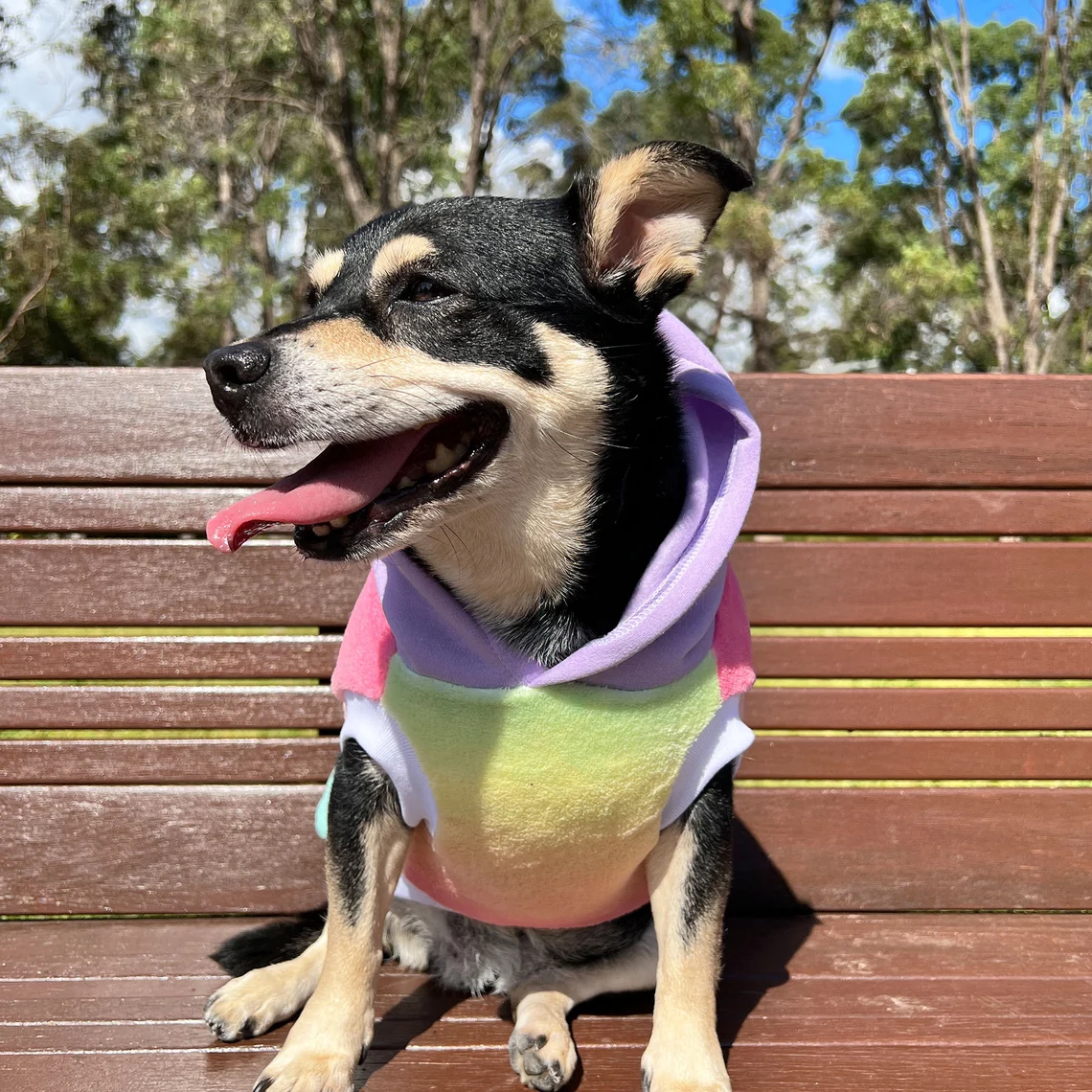 Dogs Hoodies Pastel Rainbow color Design Dog hoodie  Hoodies Manufacturer Wholesaler Very Cheap Price