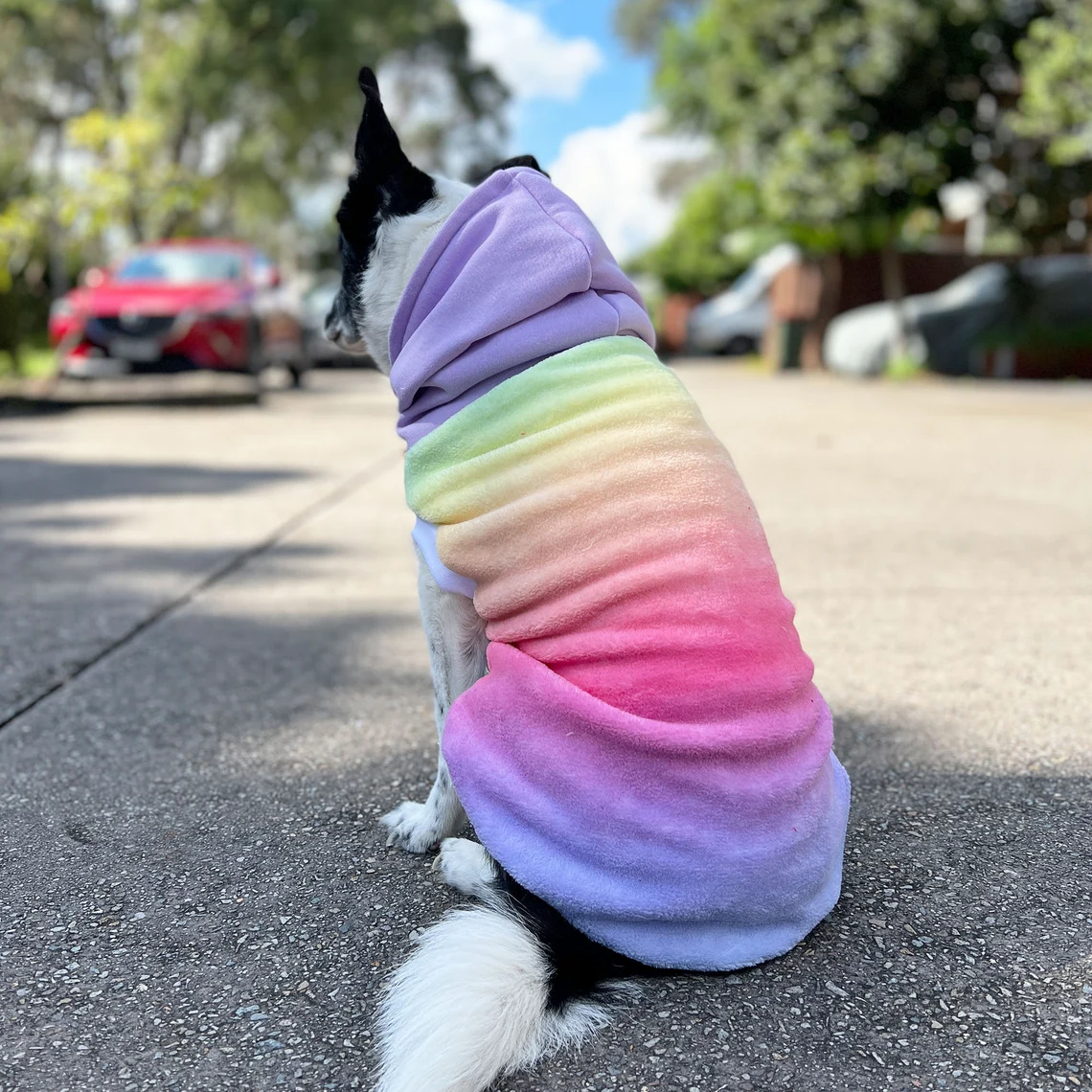 Dogs Hoodies Pastel Rainbow color Design Dog hoodie  Hoodies Manufacturer Wholesaler Very Cheap Price