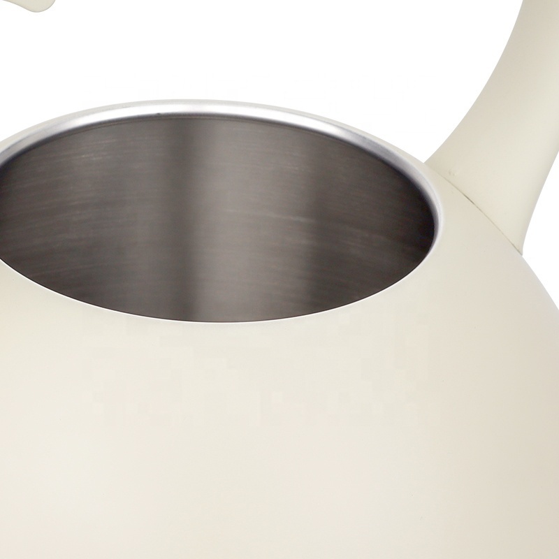 New design Home Kitchen Color Coating 3.0L Whistling Kettle Stainless Steel Whistling Tea Kettle