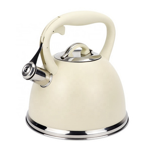 New design Home Kitchen Color Coating 3.0L Whistling Kettle Stainless Steel Whistling Tea Kettle