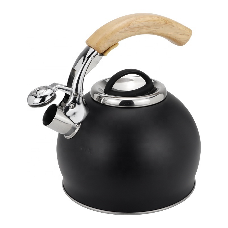 Realwin gas induction bottom teapot kettle stainless steel stove top tea whistling kettle with color coating