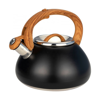 Customized color coating whistling water kettle stainless steel stove top tea pots kettles for home