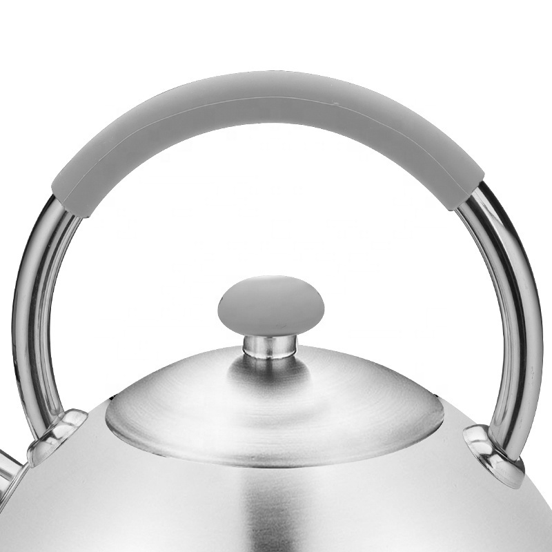 Realwin Customized Stainless Steel Whistling Tea Kettle Coffee Teapot With Hollow Handle for Gas Stoves