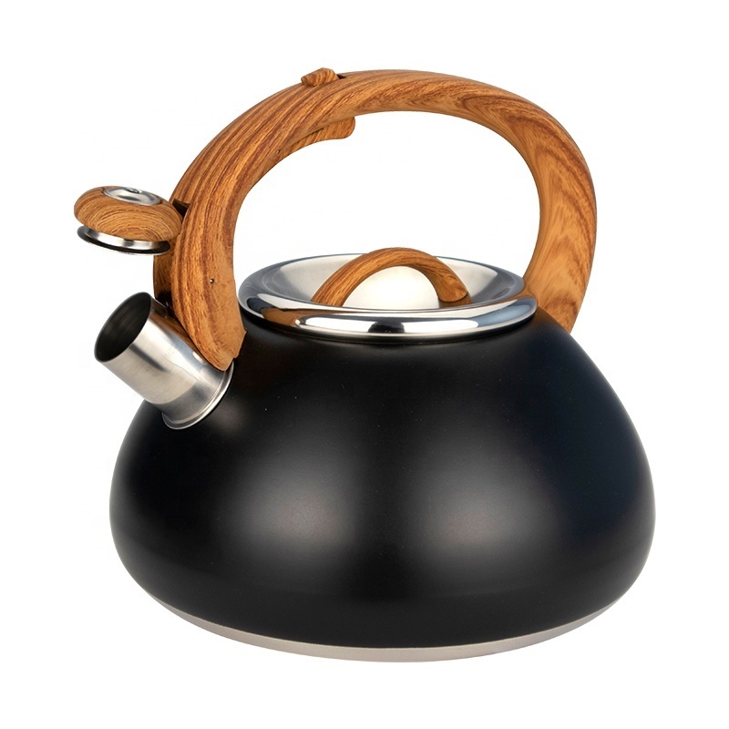 Customized color coating whistling water kettle stainless steel stove top tea pots kettles for home