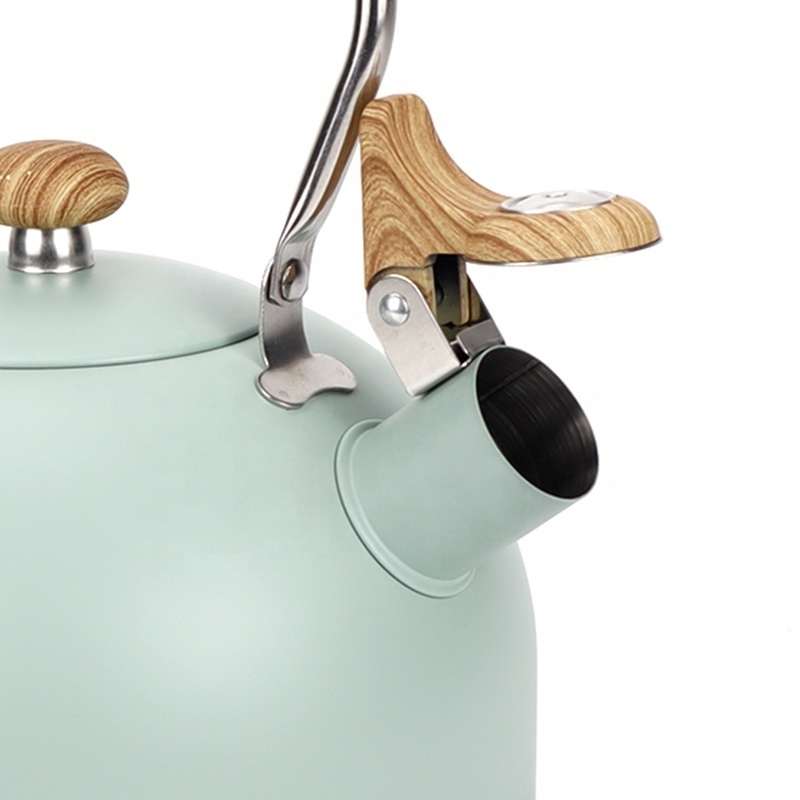 2.5L Mint Green Color Painting Stove Top Stainless Steel Whistling Tea Kettle Tea Pot With Stainless Steel Handle