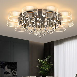 Hot Sale Indoor Luxury Decoration Bedroom Living room Acrylic Gold Black LED Modern Ceiling Light