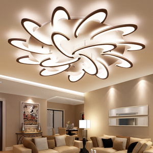 OKELI New Design Indoor Dining Room Living Room Acrylic Modern Led Ceiling Lamp