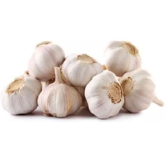 New Crop Fresh Garlic peeled garlic solo cloves garlic With Certificate for Europe