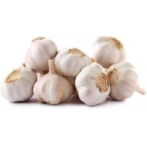 New Crop Fresh Garlic peeled garlic solo cloves garlic With Certificate for Europe