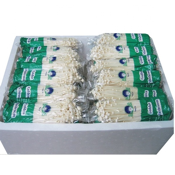 Quality needle golden enoki mushrooms for sale