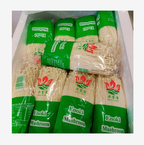 Enoki mushroom growing for sale price