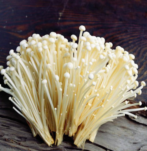 Fresh Enoki mushroom for sale