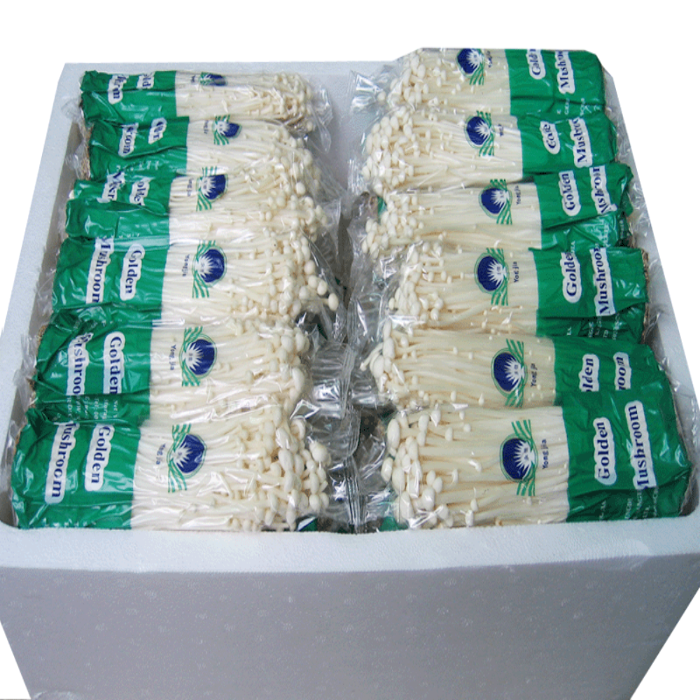 Fresh Enoki mushroom hot sale in China