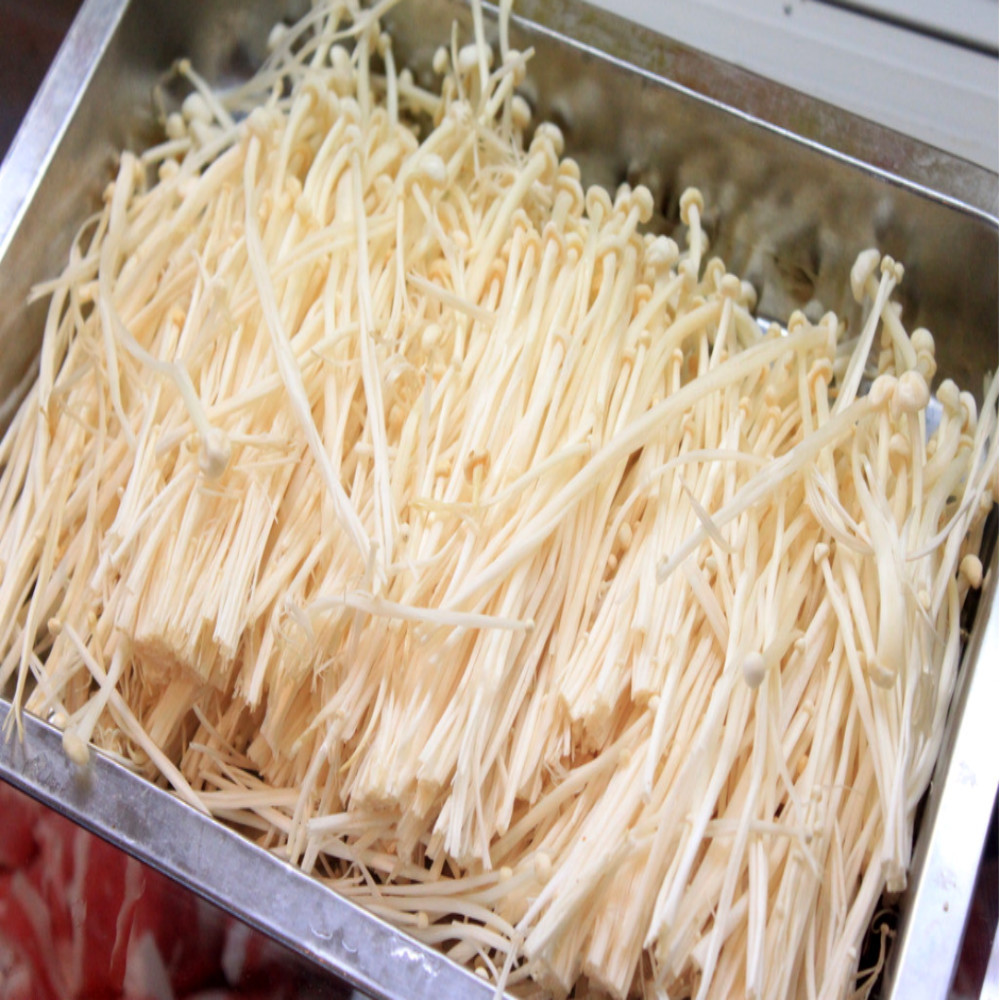 Enoki mushroom