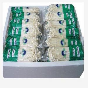 Fresh Enoki mushroom for sale