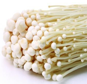 Fresh Enoki mushroom for sale