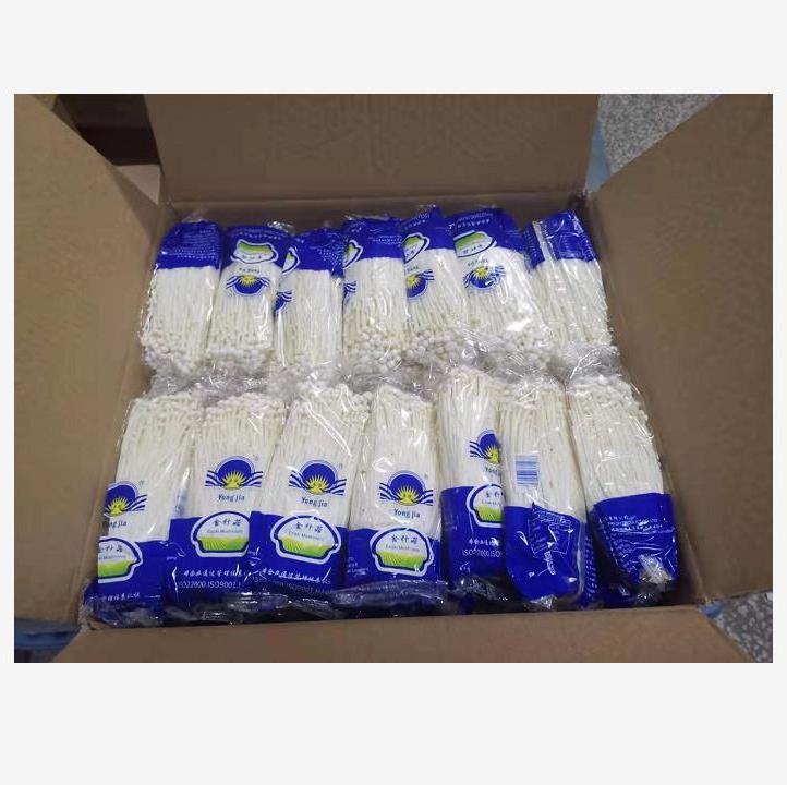 chinese fresh white enoki mushroom price