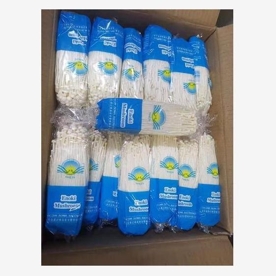 chinese fresh white enoki mushroom price