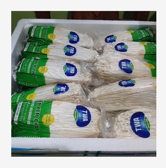 Enoki mushroom growing for sale price