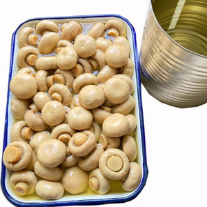 Canned mushroom whole canned mushroom brands 425g