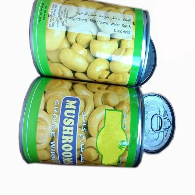 Best Canned whole mushroom 425g