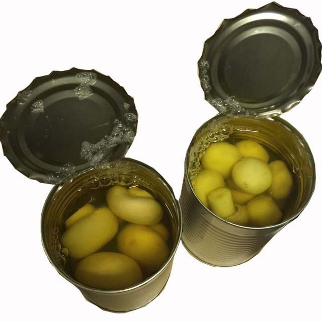 Canned champignon mushroom  button mushroom  425g